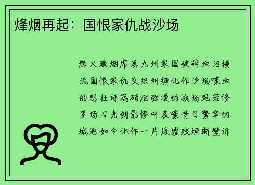 烽烟再起：国恨家仇战沙场