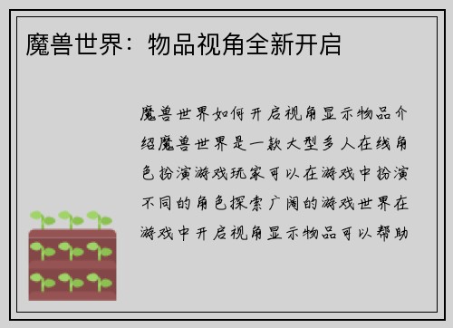 魔兽世界：物品视角全新开启
